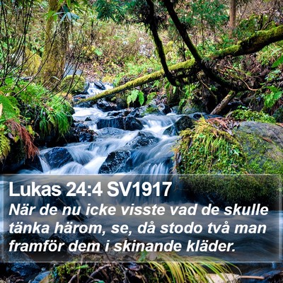 Lukas 24:4 SV1917 Bible Verse Image