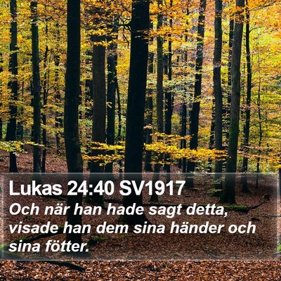 Lukas 24:40 SV1917 Bible Verse Image