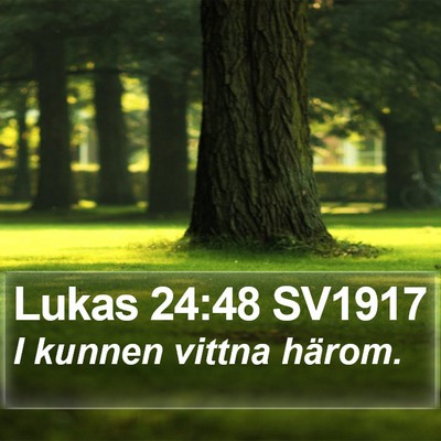 Lukas 24:48 SV1917 Bible Verse Image