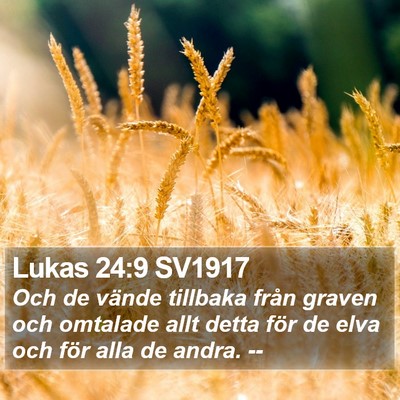 Lukas 24:9 SV1917 Bible Verse Image