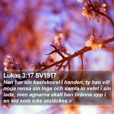 Lukas 3:17 SV1917 Bible Verse Image
