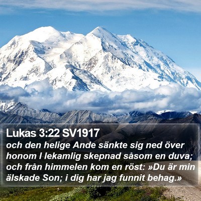 Lukas 3:22 SV1917 Bible Verse Image
