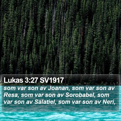 Lukas 3:27 SV1917 Bible Verse Image