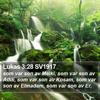 Lukas 3:28 SV1917 Bible Verse Image