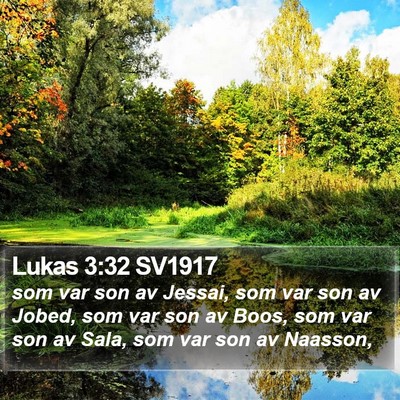 Lukas 3:32 SV1917 Bible Verse Image