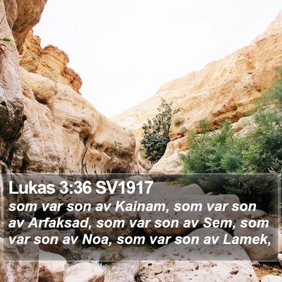 Lukas 3:36 SV1917 Bible Verse Image