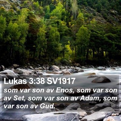 Lukas 3:38 SV1917 Bible Verse Image