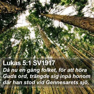 Lukas 5:1 SV1917 Bible Verse Image