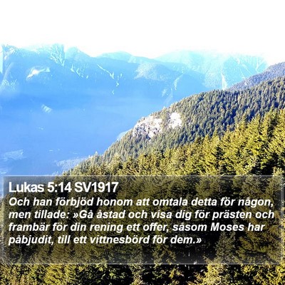 Lukas 5:14 SV1917 Bible Verse Image