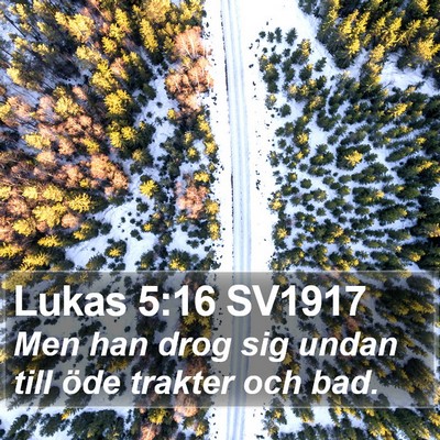 Lukas 5:16 SV1917 Bible Verse Image