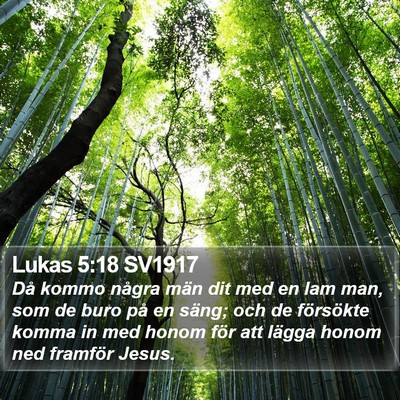 Lukas 5:18 SV1917 Bible Verse Image