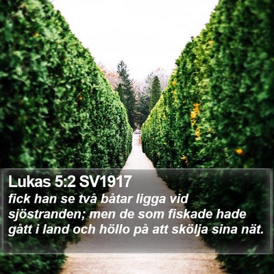 Lukas 5:2 SV1917 Bible Verse Image
