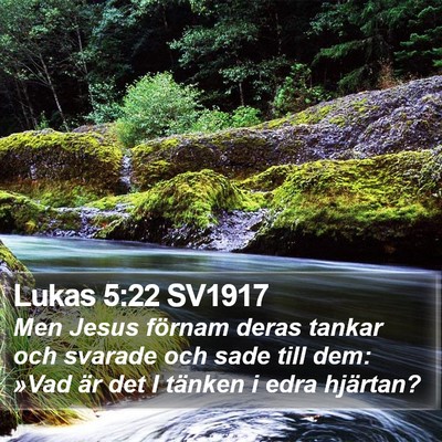 Lukas 5:22 SV1917 Bible Verse Image