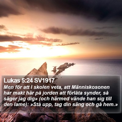 Lukas 5:24 SV1917 Bible Verse Image