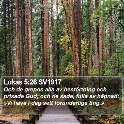 Lukas 5:26 SV1917 Bible Verse Image