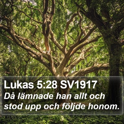 Lukas 5:28 SV1917 Bible Verse Image