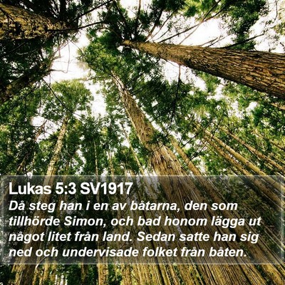 Lukas 5:3 SV1917 Bible Verse Image