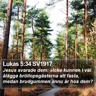Lukas 5:34 SV1917 Bible Verse Image