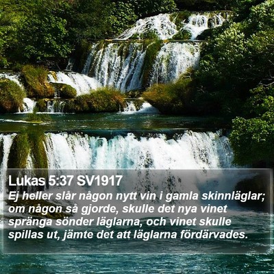 Lukas 5:37 SV1917 Bible Verse Image