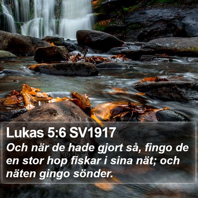 Lukas 5:6 SV1917 Bible Verse Image