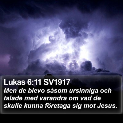 Lukas 6:11 SV1917 Bible Verse Image