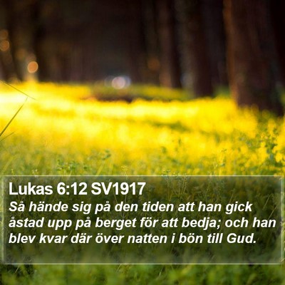 Lukas 6:12 SV1917 Bible Verse Image