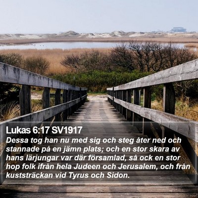 Lukas 6:17 SV1917 Bible Verse Image