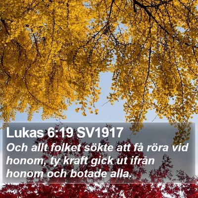 Lukas 6:19 SV1917 Bible Verse Image