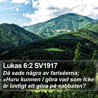 Lukas 6:2 SV1917 Bible Verse Image