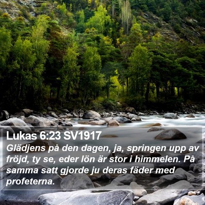 Lukas 6:23 SV1917 Bible Verse Image