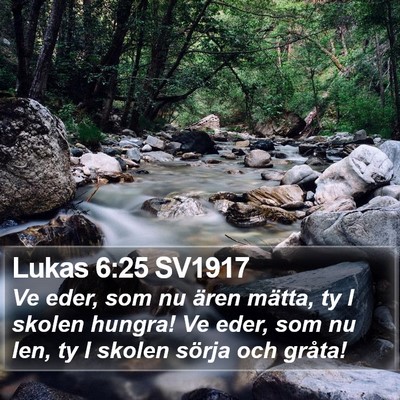 Lukas 6:25 SV1917 Bible Verse Image