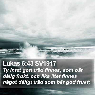 Lukas 6:43 SV1917 Bible Verse Image
