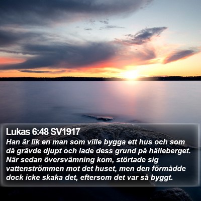 Lukas 6:48 SV1917 Bible Verse Image