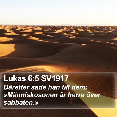 Lukas 6:5 SV1917 Bible Verse Image
