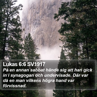 Lukas 6:6 SV1917 Bible Verse Image