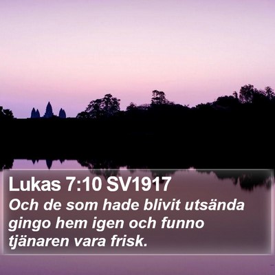 Lukas 7:10 SV1917 Bible Verse Image