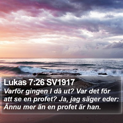 Lukas 7:26 SV1917 Bible Verse Image