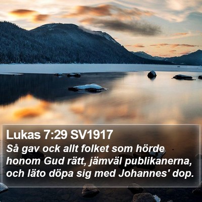 Lukas 7:29 SV1917 Bible Verse Image