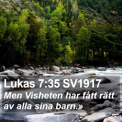 Lukas 7:35 SV1917 Bible Verse Image