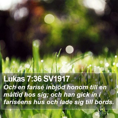 Lukas 7:36 SV1917 Bible Verse Image