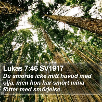 Lukas 7:46 SV1917 Bible Verse Image