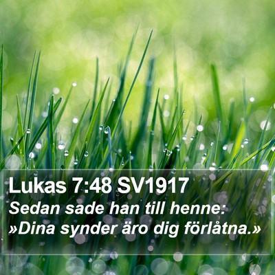Lukas 7:48 SV1917 Bible Verse Image