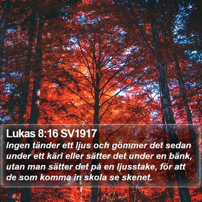 Lukas 8:16 SV1917 Bible Verse Image