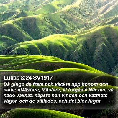 Lukas 8:24 SV1917 Bible Verse Image