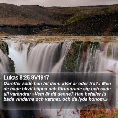 Lukas 8:25 SV1917 Bible Verse Image