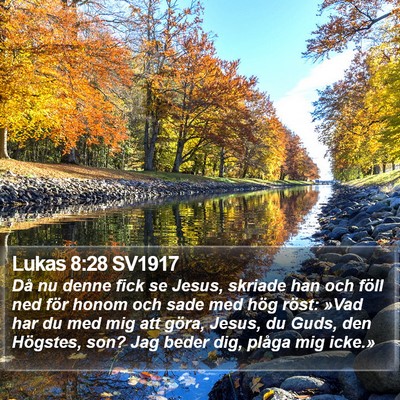 Lukas 8:28 SV1917 Bible Verse Image