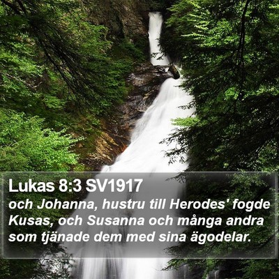 Lukas 8:3 SV1917 Bible Verse Image