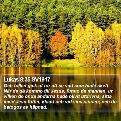 Lukas 8:35 SV1917 Bible Verse Image