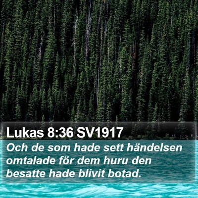 Lukas 8:36 SV1917 Bible Verse Image