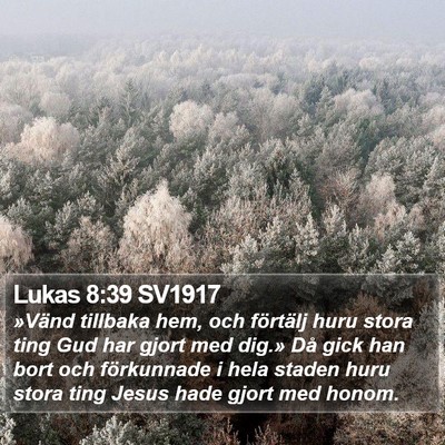 Lukas 8:39 SV1917 Bible Verse Image